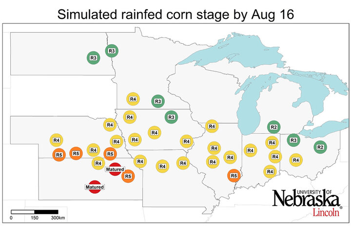 Graph of Simulated developmental stage for irrigated and rainfed corn