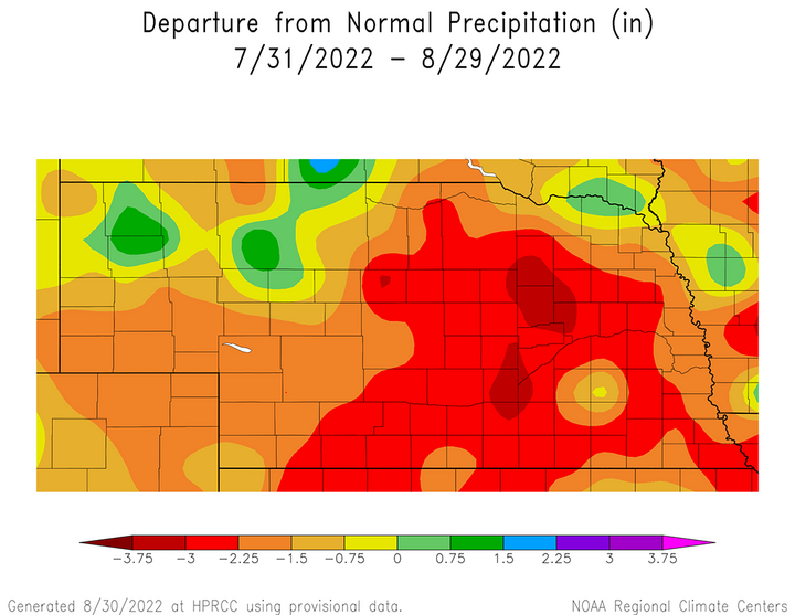 Precip anomalies July-August