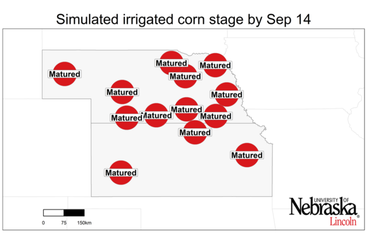 Graph of Simulated developmental stage for irrigated and rainfed corn