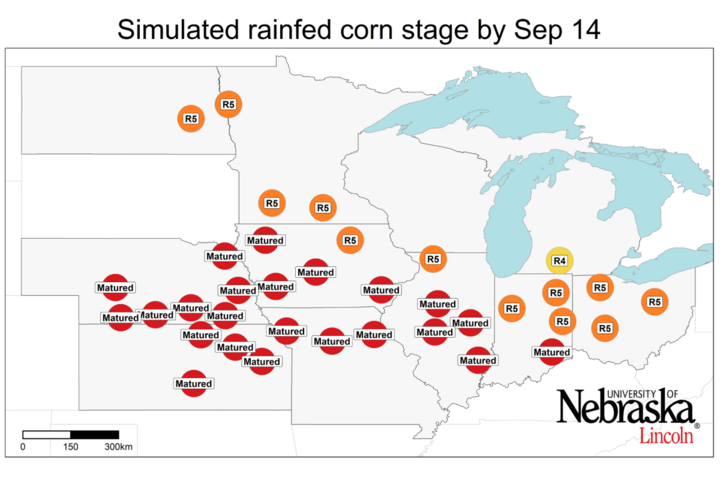 Graph of Simulated developmental stage for irrigated and rainfed corn