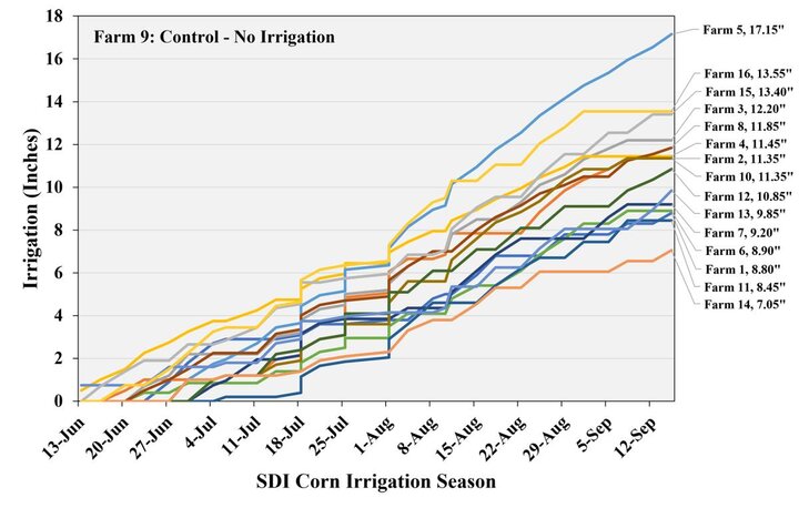 Sprinkler Corn irrigation