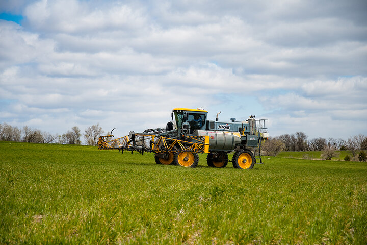 Equipment in wheat field