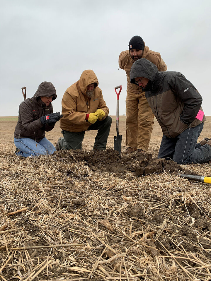 Studying soil sample