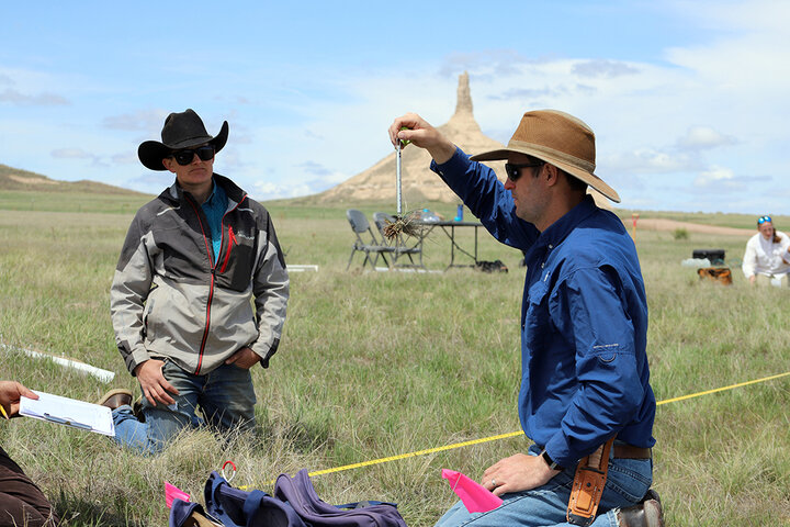 Researchers weigh and sample plants