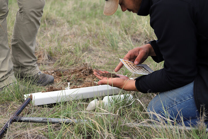 Researcher analyzes soil sample