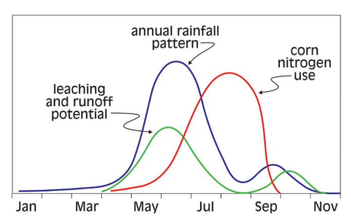 Rainfall and nitrogen uptake chart