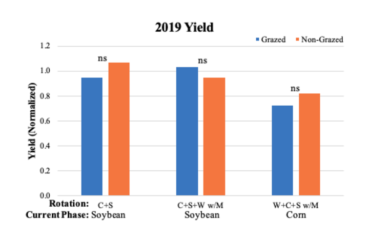 Grain yields 2019 graph