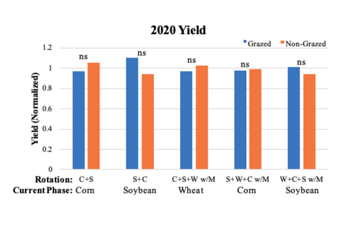 Grain yields 2020 graph