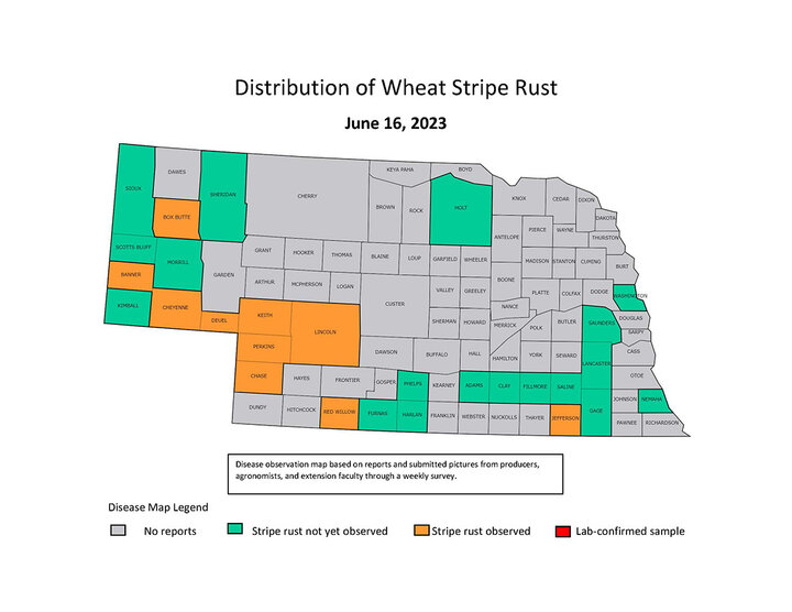 Stripe rust map of Nebraska