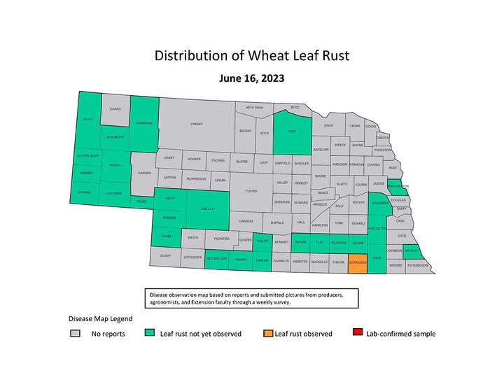 Leaf rust map of Nebraska