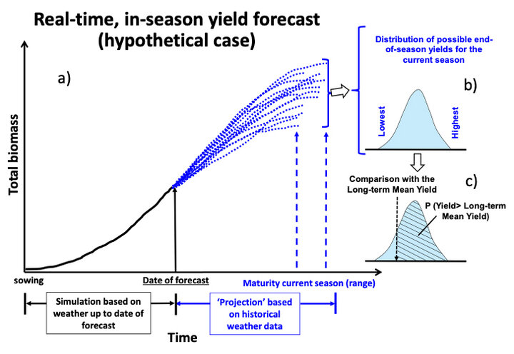 Yield comparisons graph