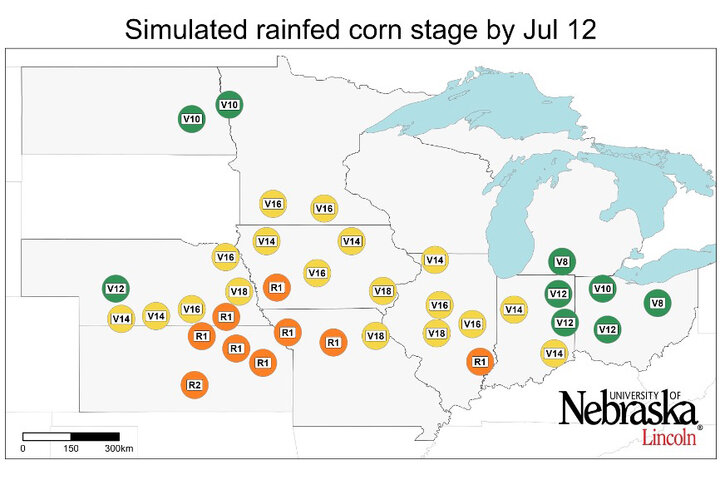 Graph of Simulated developmental stage for irrigated and rainfed corn at each location
