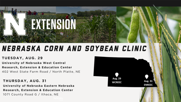 Clinic flyer
