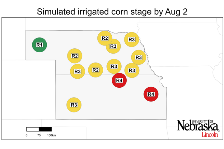 Graph of Simulated developmental stage for irrigated and rainfed corn