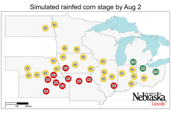 Graph of Simulated developmental stage for irrigated and rainfed corn
