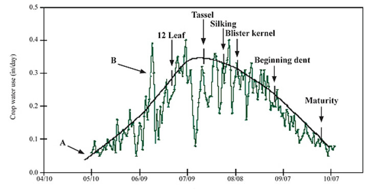 Long-term daily average and individual year corn water use