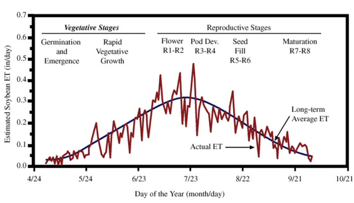 Long-term daily average and individual year soybean water use