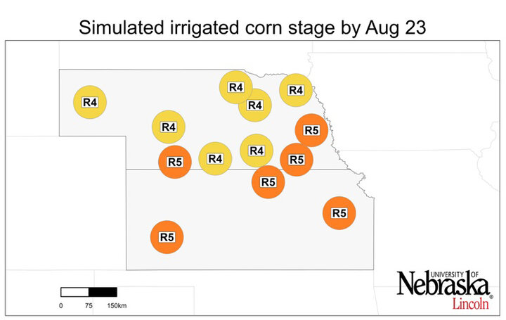 Graph of Simulated developmental stage for irrigated and rainfed corn