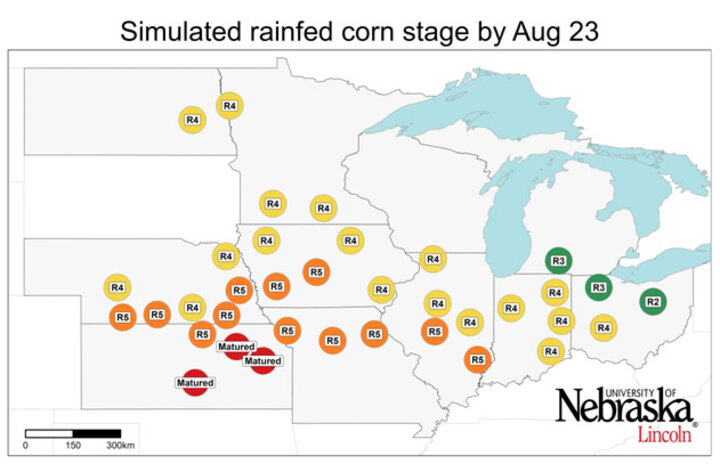 Graph of Simulated developmental stage for irrigated and rainfed corn