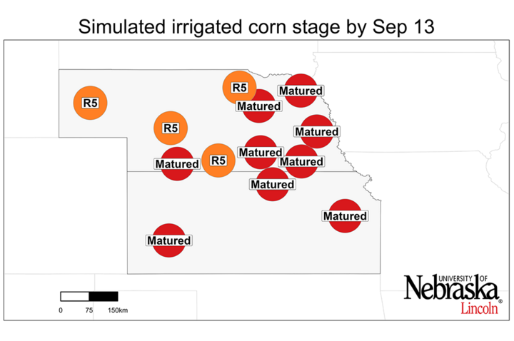 Graph of Simulated developmental stage for irrigated and rainfed corn