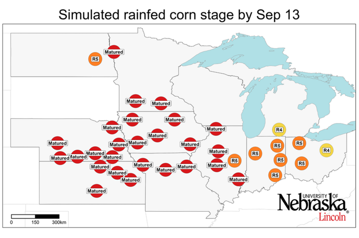 Graph of Simulated developmental stage for irrigated and rainfed corn