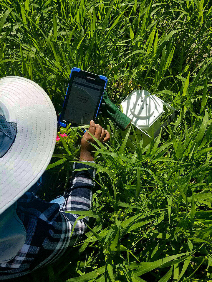 Researcher measures nitrous oxide emissions in millet field