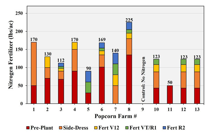 Popcorn Competition nitrogen fertilizer application timeline