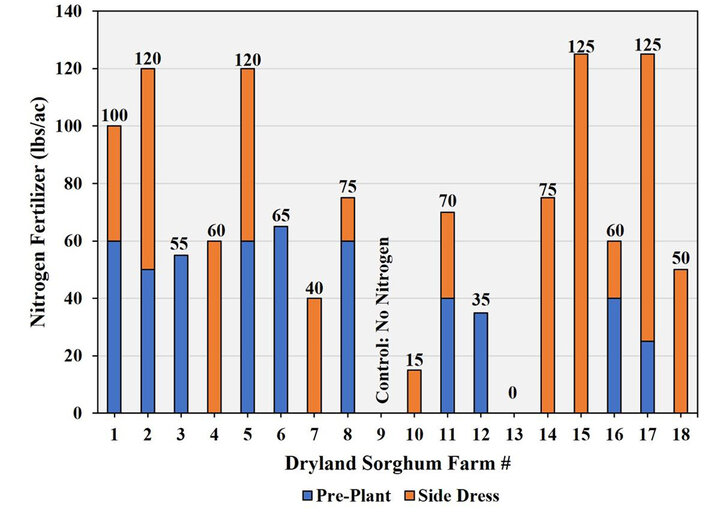 Dryland Sorghum Competition nitrogen fertilizer application timeline