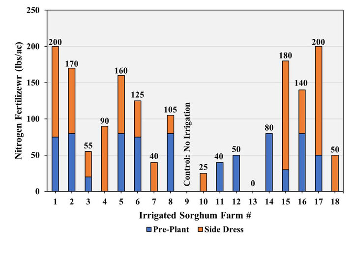 Irrigated Sorghum Competition nitrogen fertilizer application timeline