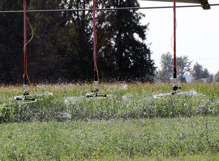 Pivot irrigating field