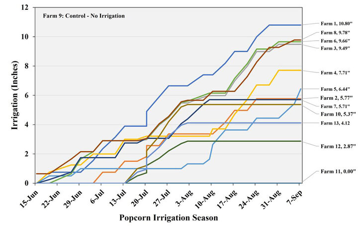 Popcorn irrigation applied amounts