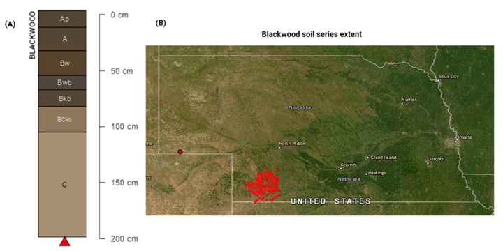 Blackwood soil series map