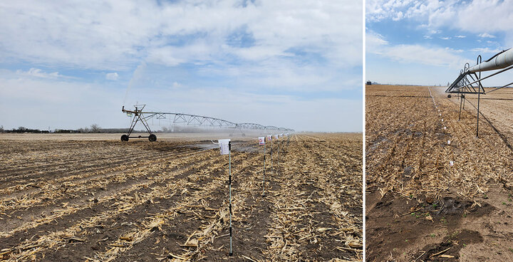 Cups underneath center pivot