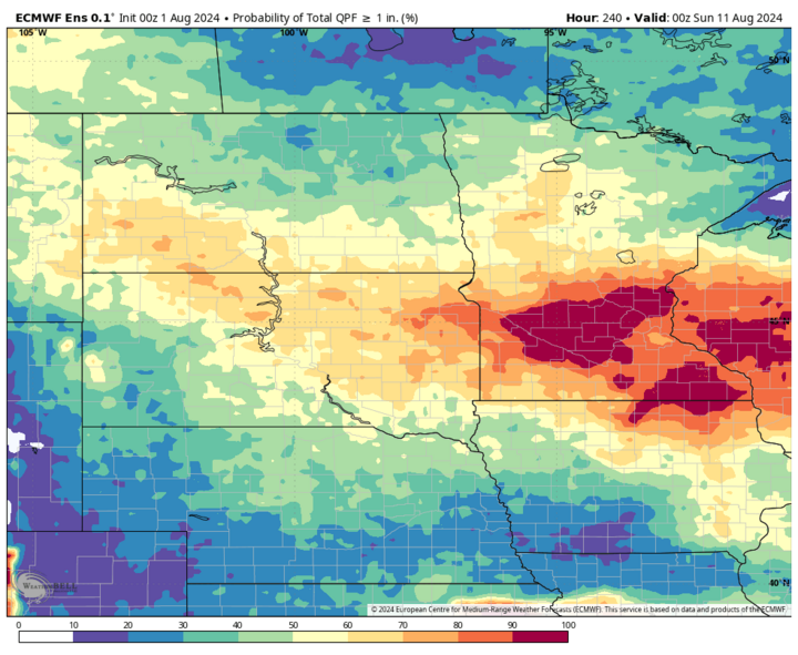 1+ inch precip outlook map