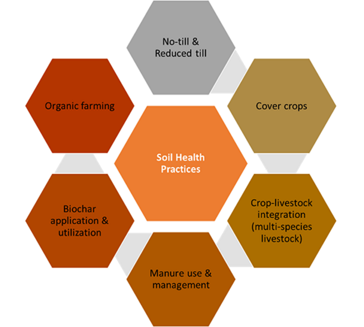 Chart of soil health topics for future events