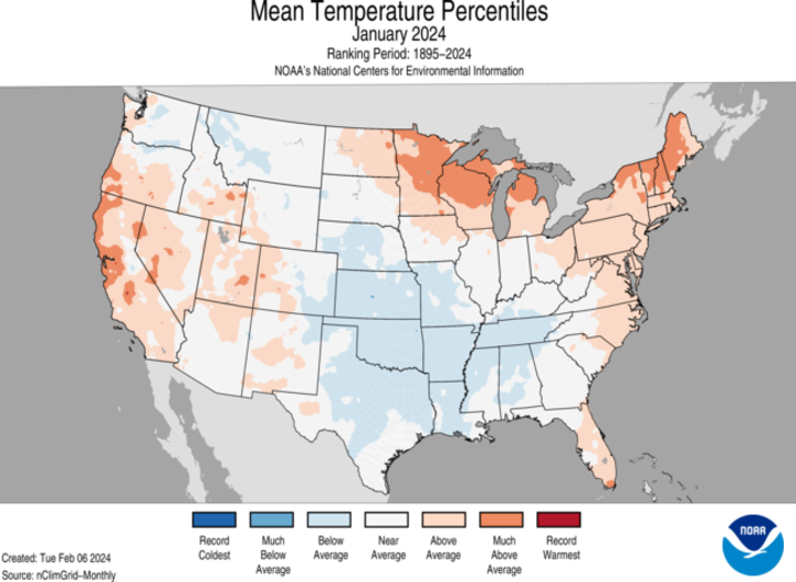 Average temperature percentiles for January 2024