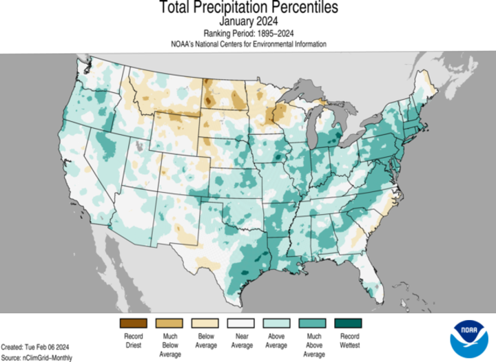 Average precipitation percentiles for January 2024