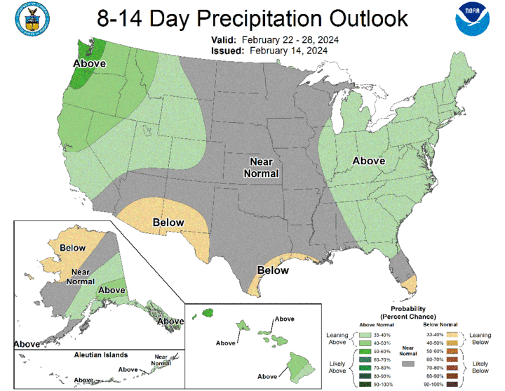 Eight- to 14-day precipitation outlook