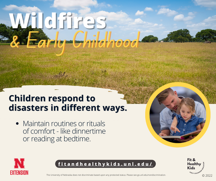 Wildfire and Early Childhood infographic #4