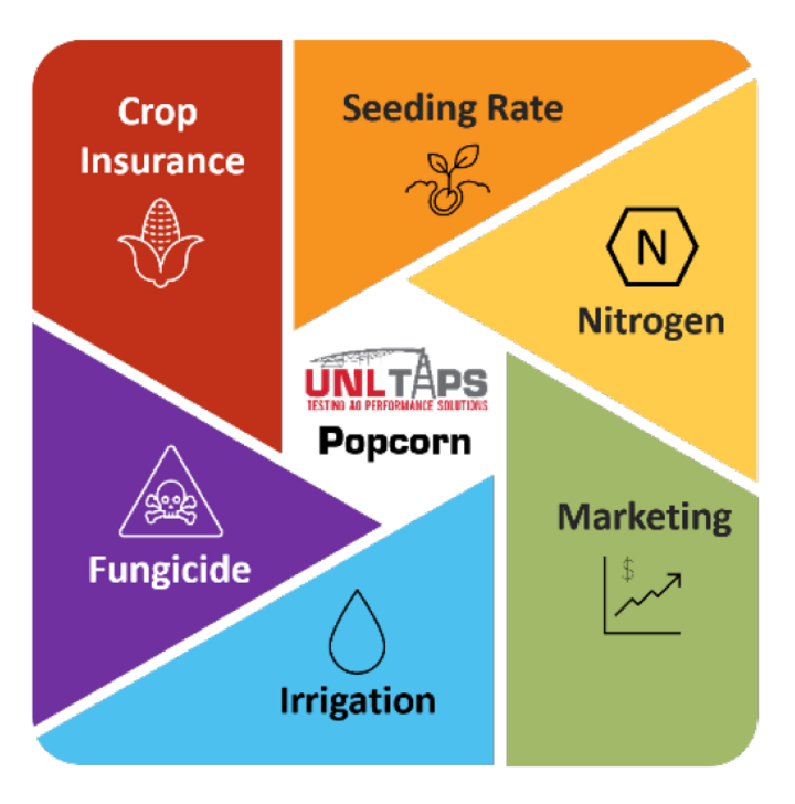 TAPS decision management graphic