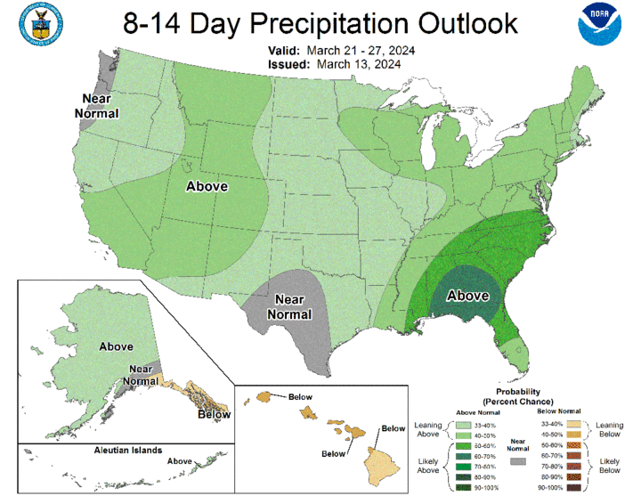 Eight- to 14-day precipitation map