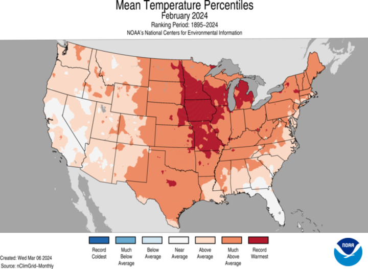 February 2024 mean temperatures percentiles map