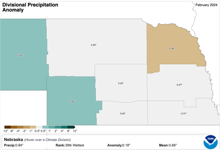 February 2024 average precipitation anomalies map