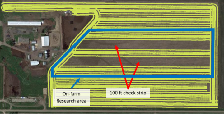 Precision software grid of field