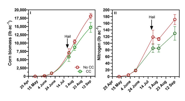 Corn biomass and nitrogen graphs