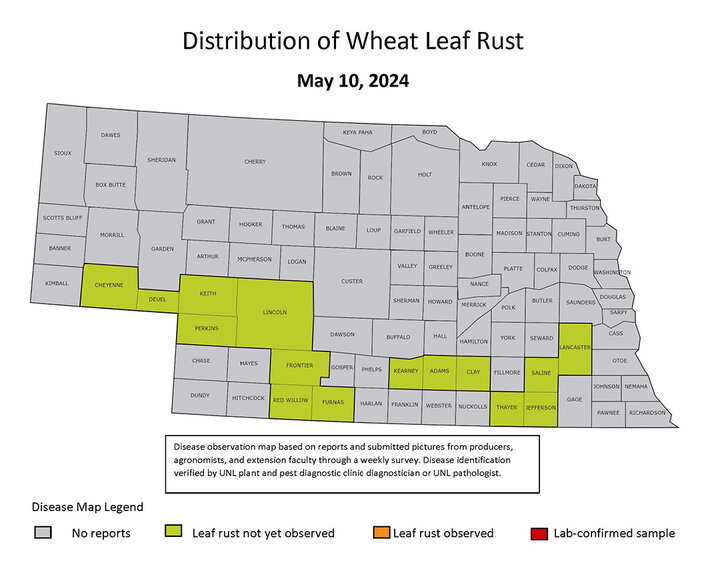 Map of highlighted leaf rust counties