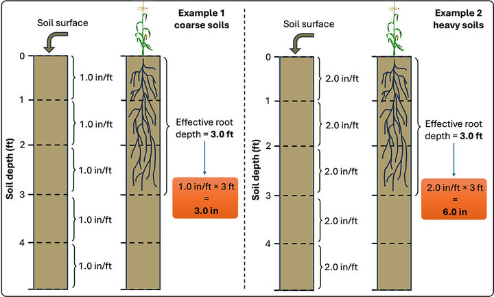 Chart of soil water holding capacity examples