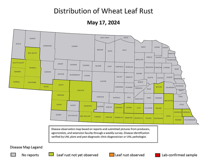 Map of highlighted leaf rust counties