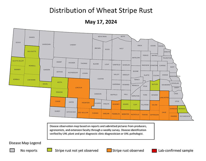 Map of highlighted stripe rust counties