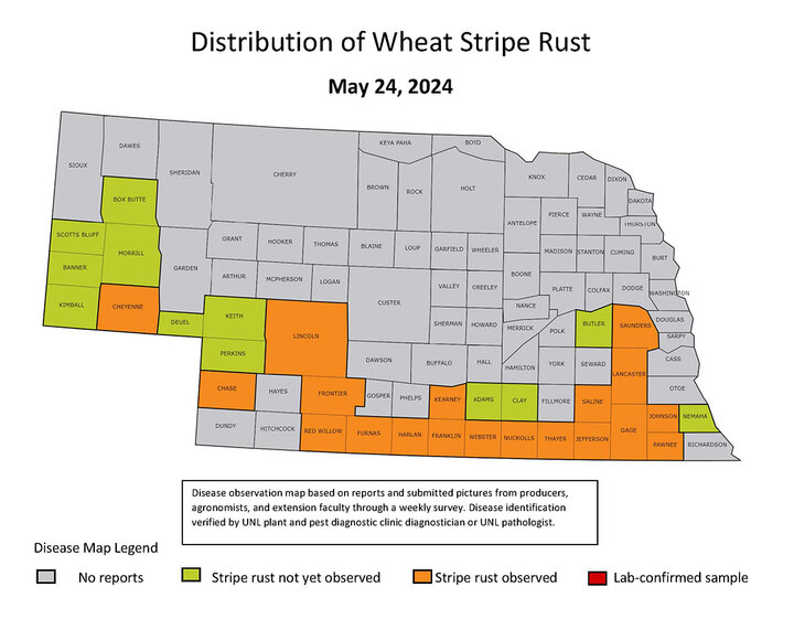 Map of highlighted stripe rust counties